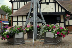 Cranleigh Community Showcase